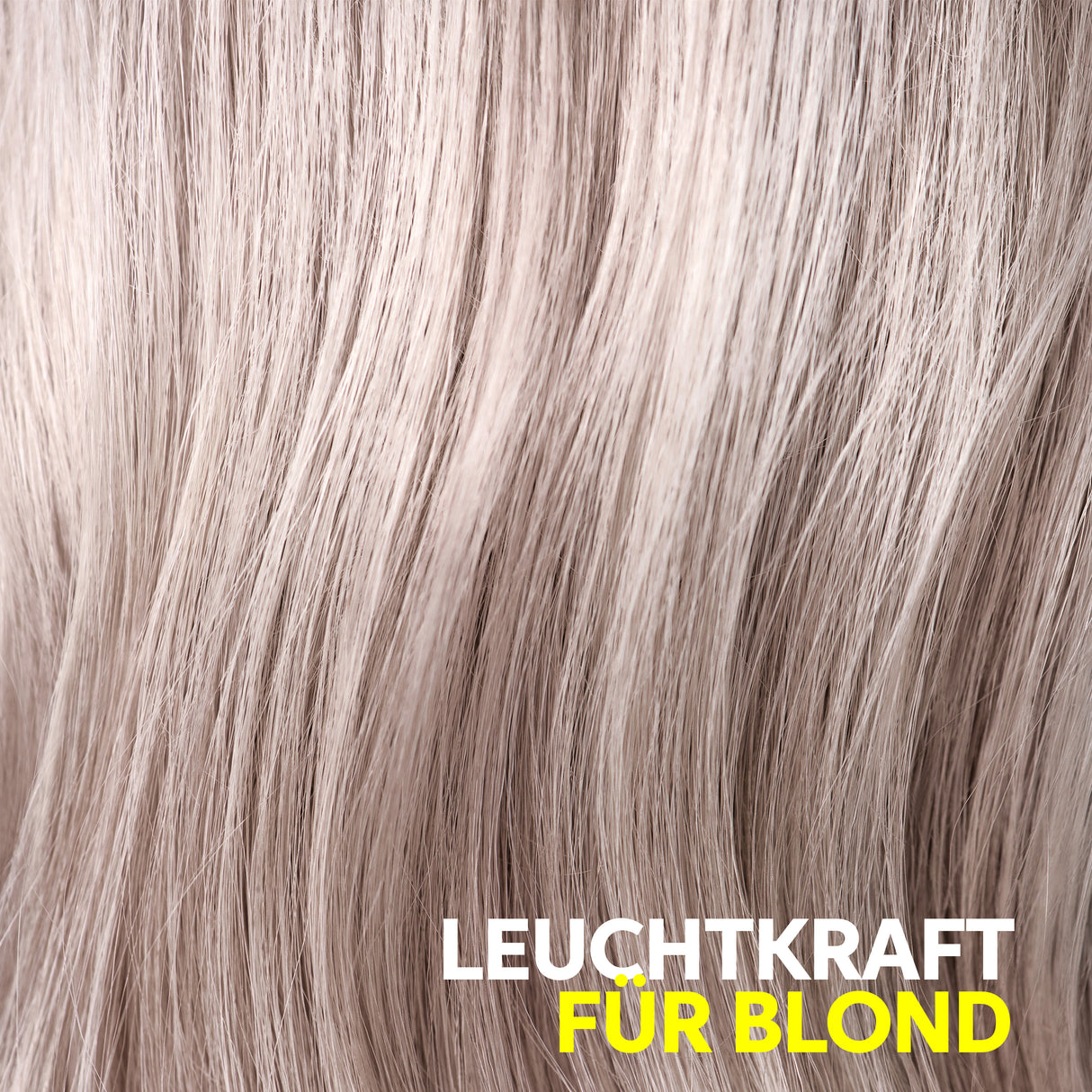 Invigo Blonde Recharge Shampoo