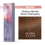 Illumina Color