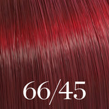 Color Touch Vibrant Reds