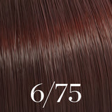 Color Touch Deep Browns