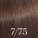 Color Touch Deep Browns