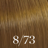 Color Touch Deep Browns