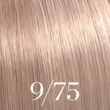 Color Touch Deep Browns
